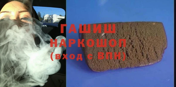 индика Алексин