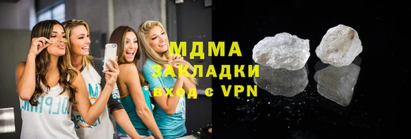 индика Алексин