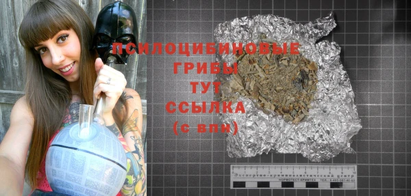 индика Алексин
