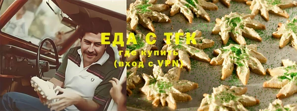 индика Алексин