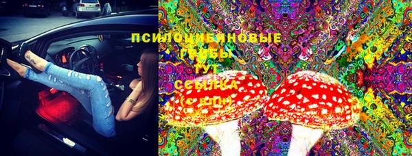 индика Алексин