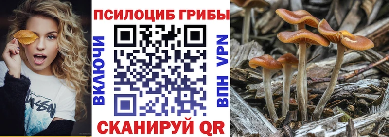 Псилоцибиновые грибы прущие грибы  Туймазы 